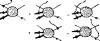thumbs/f_3-91.jpg