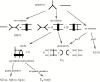 thumbs/f_a16.fig1.jpg